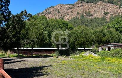 KÖYCEĞİZ'DE 75 DÖNÜM ARAZİ VE ÇİFTLİK EVİ