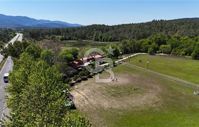 KÖYCEĞİZ'DE 75 DÖNÜM ARAZİ VE ÇİFTLİK EVİ