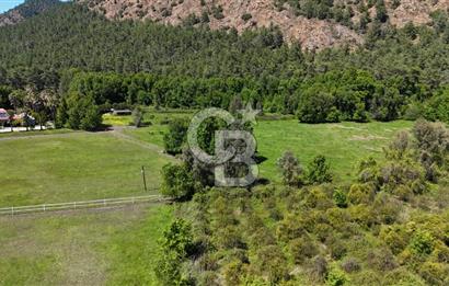 KÖYCEĞİZ'DE 75 DÖNÜM ARAZİ VE ÇİFTLİK EVİ