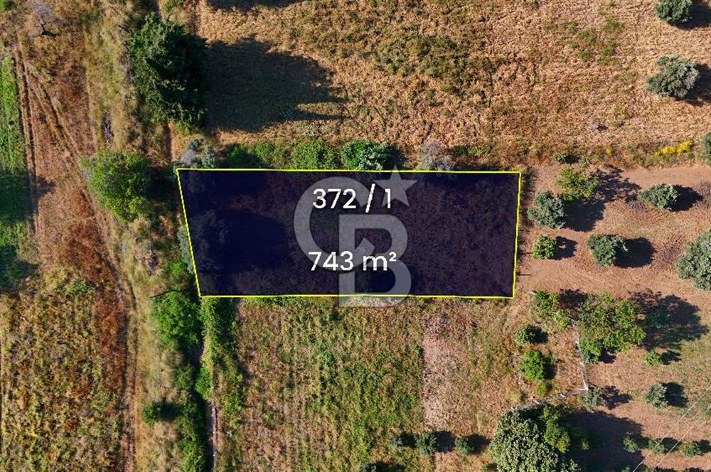 Datça Kızlan'da Satılık 743 m² Bademlik - Yolu Mevcut