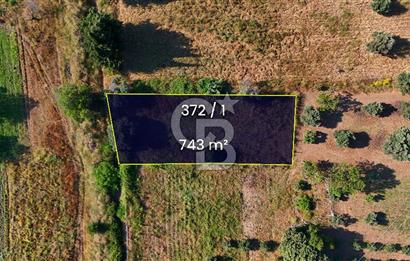 Datça Kızlan'da Satılık 743 m² Bademlik - Yolu Mevcut