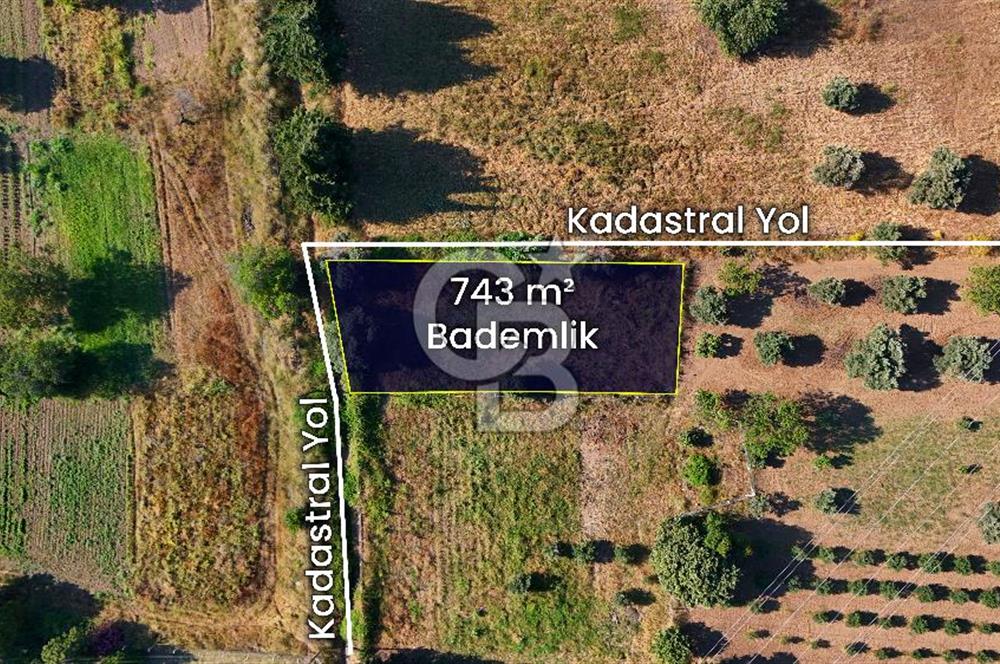 Datça Kızlan'da Satılık 743 m² Bademlik - Yolu Mevcut