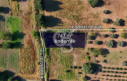 Datça Kızlan'da Satılık 743 m² Bademlik - Yolu Mevcut