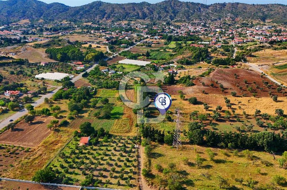 Datça Kızlan'da Satılık 743 m² Bademlik - Yolu Mevcut