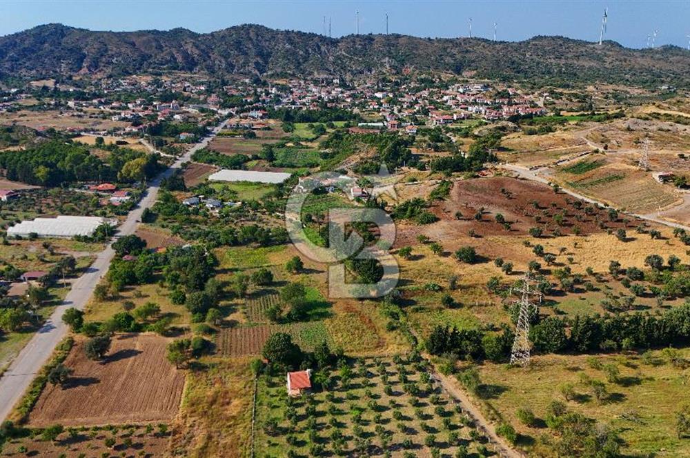 Datça Kızlan'da Satılık 743 m² Bademlik - Yolu Mevcut