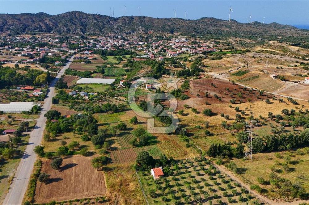 Datça Kızlan'da Satılık 743 m² Bademlik - Yolu Mevcut