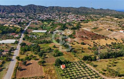 Datça Kızlan'da Satılık 743 m² Bademlik - Yolu Mevcut