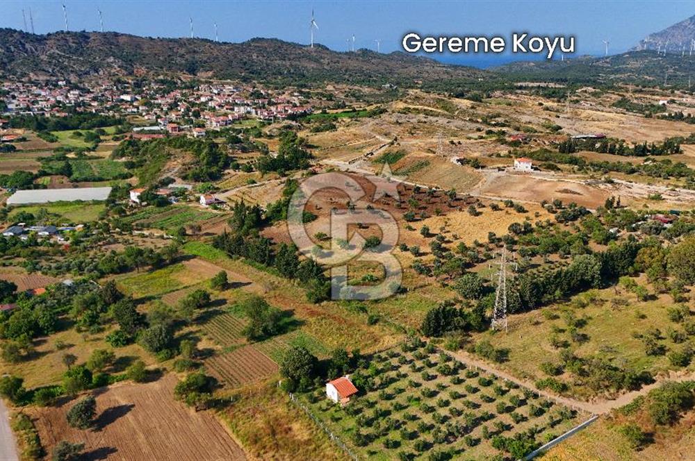 Datça Kızlan'da Satılık 743 m² Bademlik - Yolu Mevcut