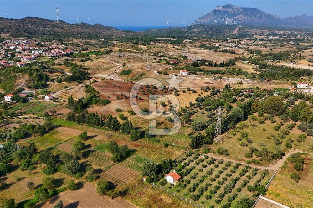Datça Kızlan'da Satılık 743 m² Bademlik - Yolu Mevcut