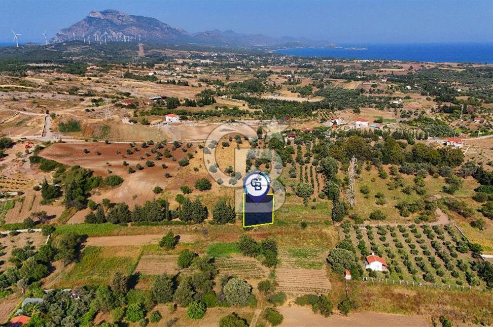 Datça Kızlan'da Satılık 743 m² Bademlik - Yolu Mevcut
