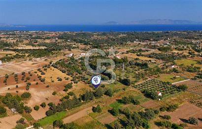 Datça Kızlan'da Satılık 743 m² Bademlik - Yolu Mevcut