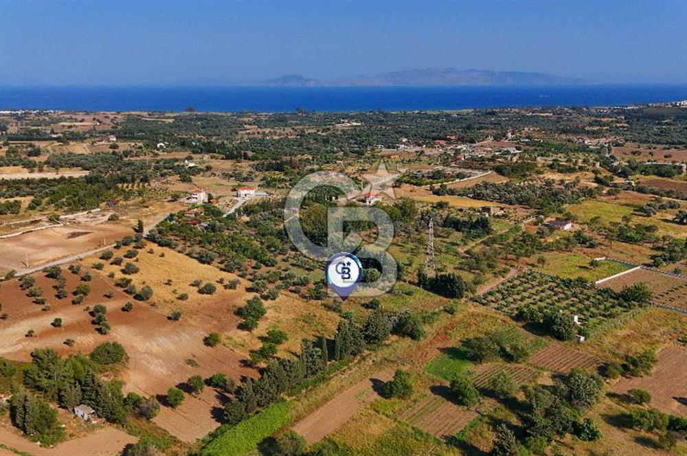 Datça Kızlan'da Satılık 743 m² Bademlik - Yolu Mevcut