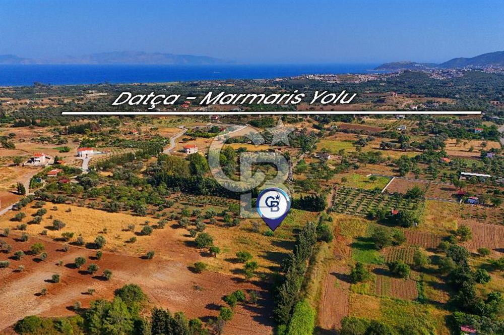 Datça Kızlan'da Satılık 743 m² Bademlik - Yolu Mevcut