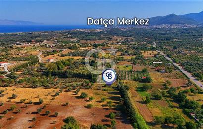 Datça Kızlan'da Satılık 743 m² Bademlik - Yolu Mevcut