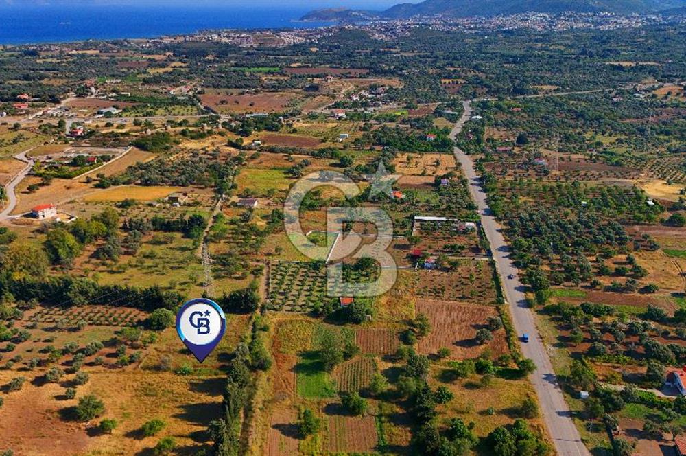 Datça Kızlan'da Satılık 743 m² Bademlik - Yolu Mevcut
