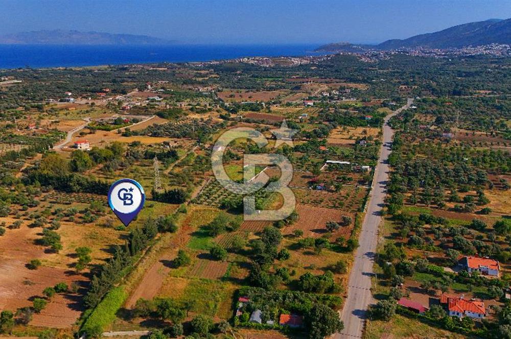 Datça Kızlan'da Satılık 743 m² Bademlik - Yolu Mevcut