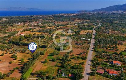 Datça Kızlan'da Satılık 743 m² Bademlik - Yolu Mevcut