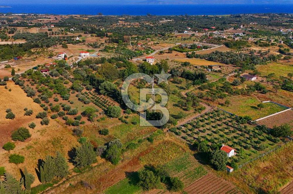 Datça Kızlan'da Satılık 743 m² Bademlik - Yolu Mevcut