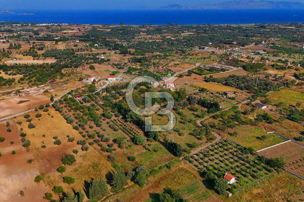 Datça Kızlan'da Satılık 743 m² Bademlik - Yolu Mevcut