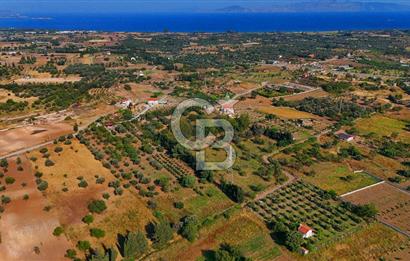 Datça Kızlan'da Satılık 743 m² Bademlik - Yolu Mevcut