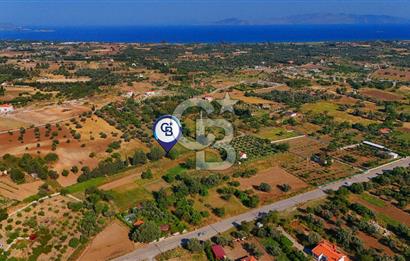 Datça Kızlan'da Satılık 743 m² Bademlik - Yolu Mevcut