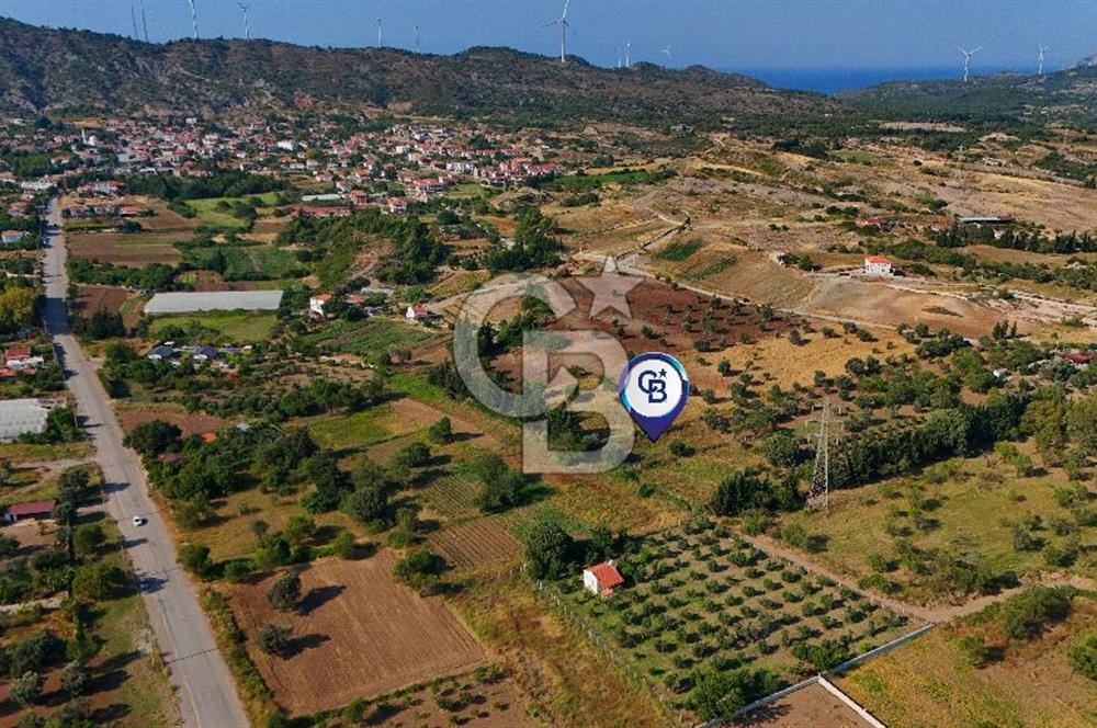 Datça Kızlan'da Satılık 743 m² Bademlik - Yolu Mevcut