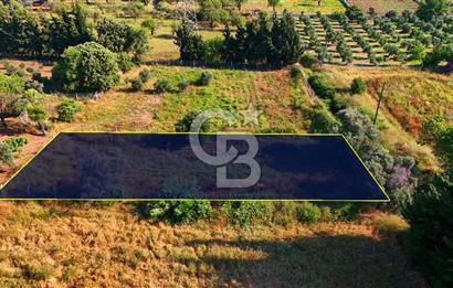 Datça Kızlan'da Satılık 743 m² Bademlik - Yolu Mevcut