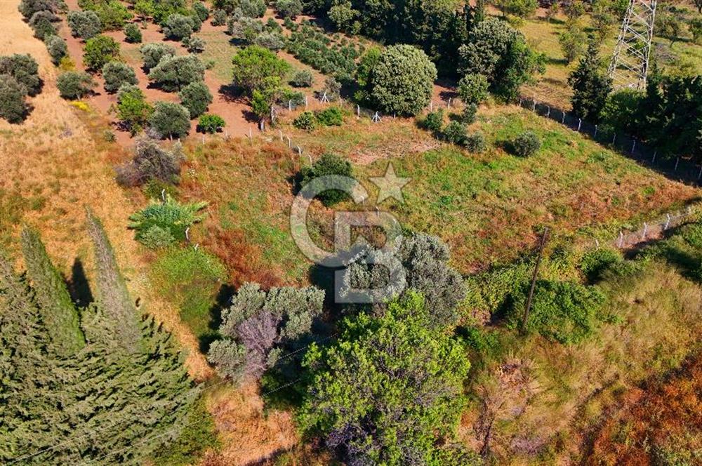 Datça Kızlan'da Satılık 743 m² Bademlik - Yolu Mevcut