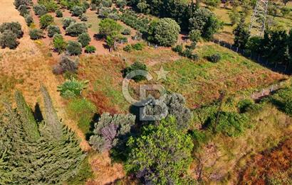 Datça Kızlan'da Satılık 743 m² Bademlik - Yolu Mevcut