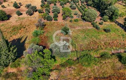 Datça Kızlan'da Satılık 743 m² Bademlik - Yolu Mevcut