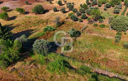 Datça Kızlan'da Satılık 743 m² Bademlik - Yolu Mevcut