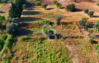 Datça Kızlan'da Satılık 743 m² Bademlik - Yolu Mevcut