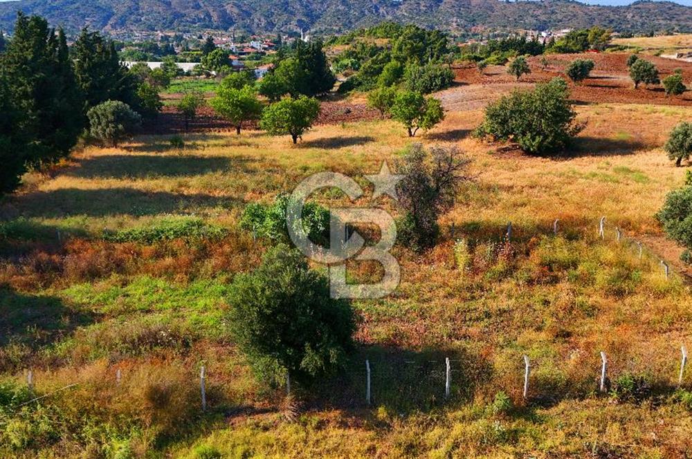 Datça Kızlan'da Satılık 743 m² Bademlik - Yolu Mevcut