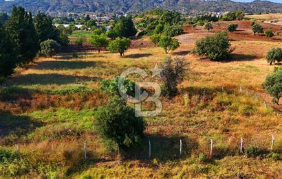 Datça Kızlan'da Satılık 743 m² Bademlik - Yolu Mevcut