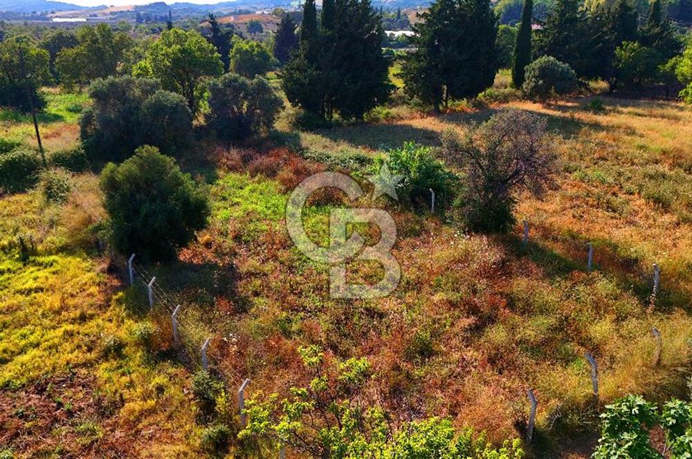 Datça Kızlan'da Satılık 743 m² Bademlik - Yolu Mevcut