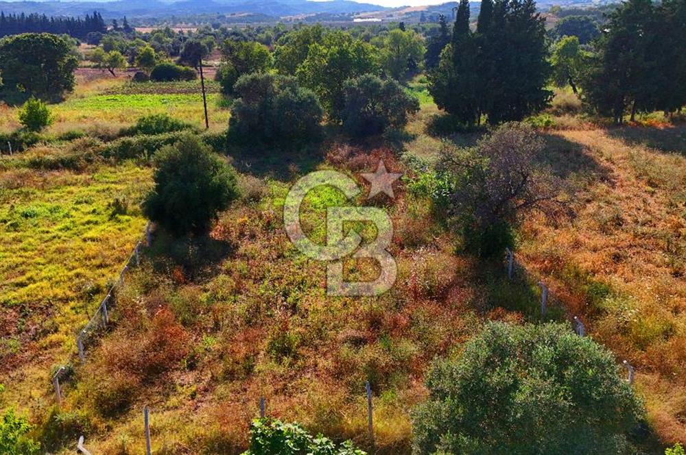 Datça Kızlan'da Satılık 743 m² Bademlik - Yolu Mevcut
