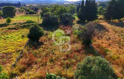 Datça Kızlan'da Satılık 743 m² Bademlik - Yolu Mevcut