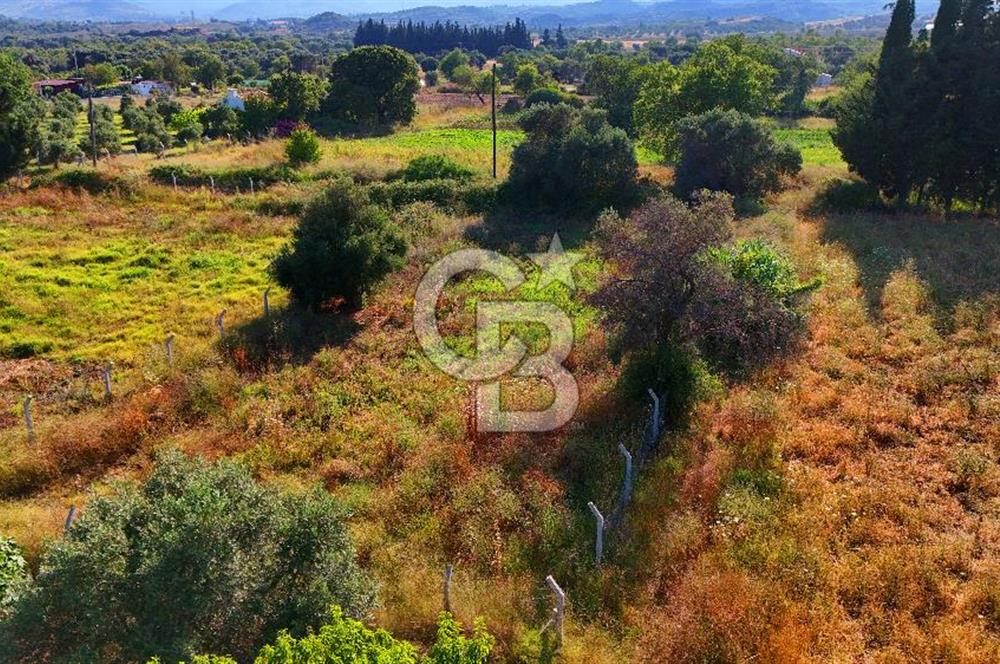 Datça Kızlan'da Satılık 743 m² Bademlik - Yolu Mevcut