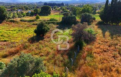Datça Kızlan'da Satılık 743 m² Bademlik - Yolu Mevcut