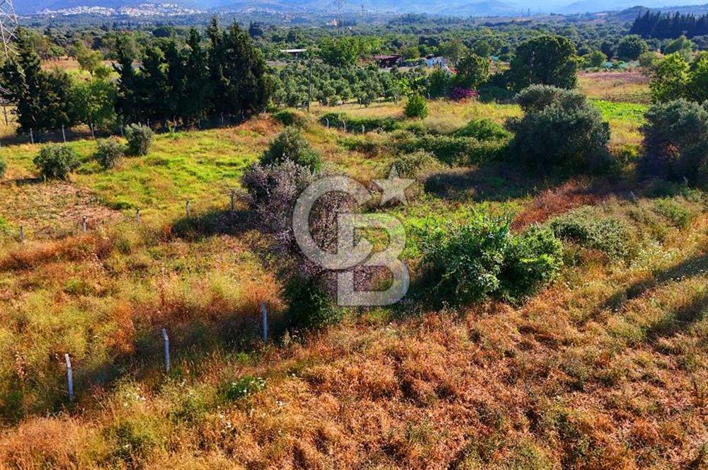 Datça Kızlan'da Satılık 743 m² Bademlik - Yolu Mevcut