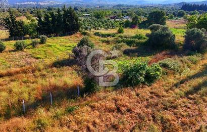 Datça Kızlan'da Satılık 743 m² Bademlik - Yolu Mevcut
