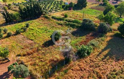 Datça Kızlan'da Satılık 743 m² Bademlik - Yolu Mevcut
