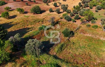 Datça Kızlan'da Satılık 743 m² Bademlik - Yolu Mevcut