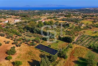 Datça Kızlan'da Satılık 743 m² Bademlik - Yolu Mevcut