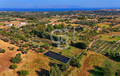 Datça Kızlan'da Satılık 743 m² Bademlik - Yolu Mevcut