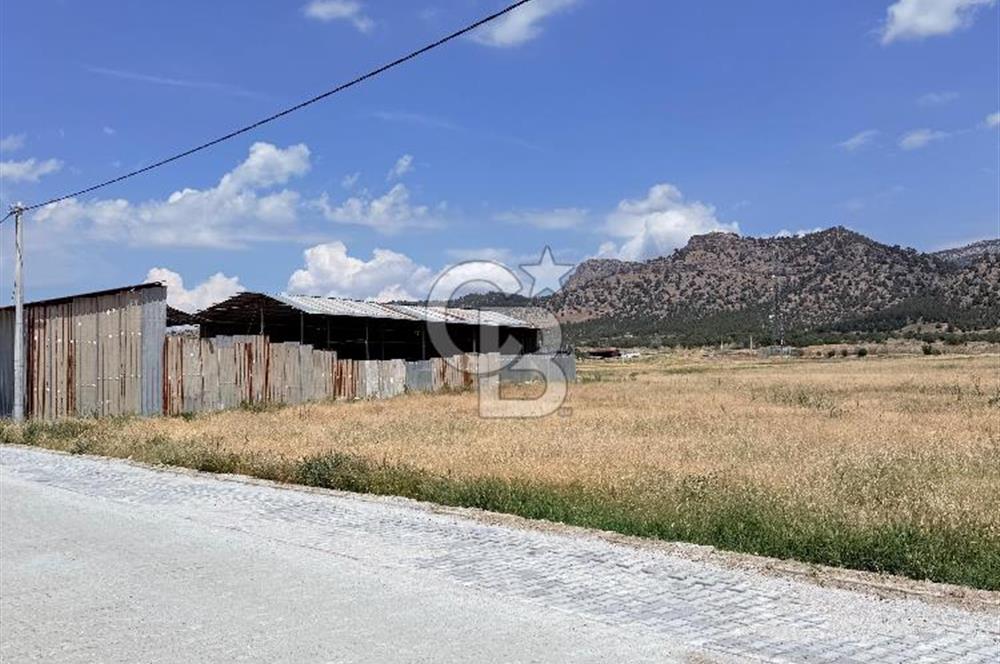 Çardak , Çınar Mh. Konut İmarlı 499 M² Satılık Arsa B+4 Kat