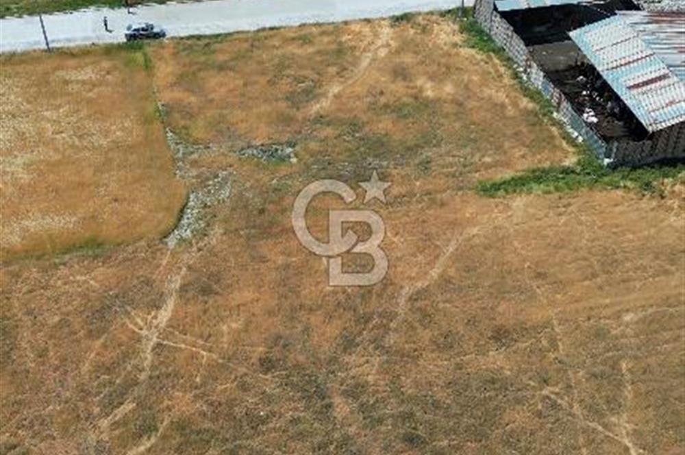 Çardak , Çınar Mh. Konut İmarlı 499 M² Satılık Arsa B+4 Kat