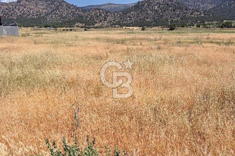 Çardak , Çınar Mh. Konut İmarlı 499 M² Satılık Arsa B+4 Kat