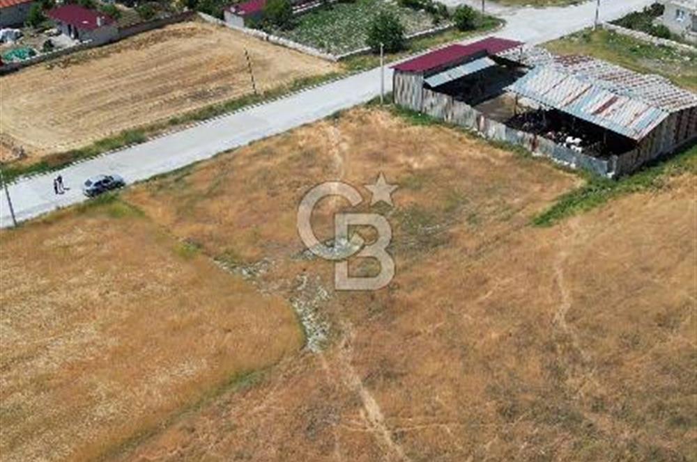 Çardak , Çınar Mh. Konut İmarlı 499 M² Satılık Arsa B+4 Kat