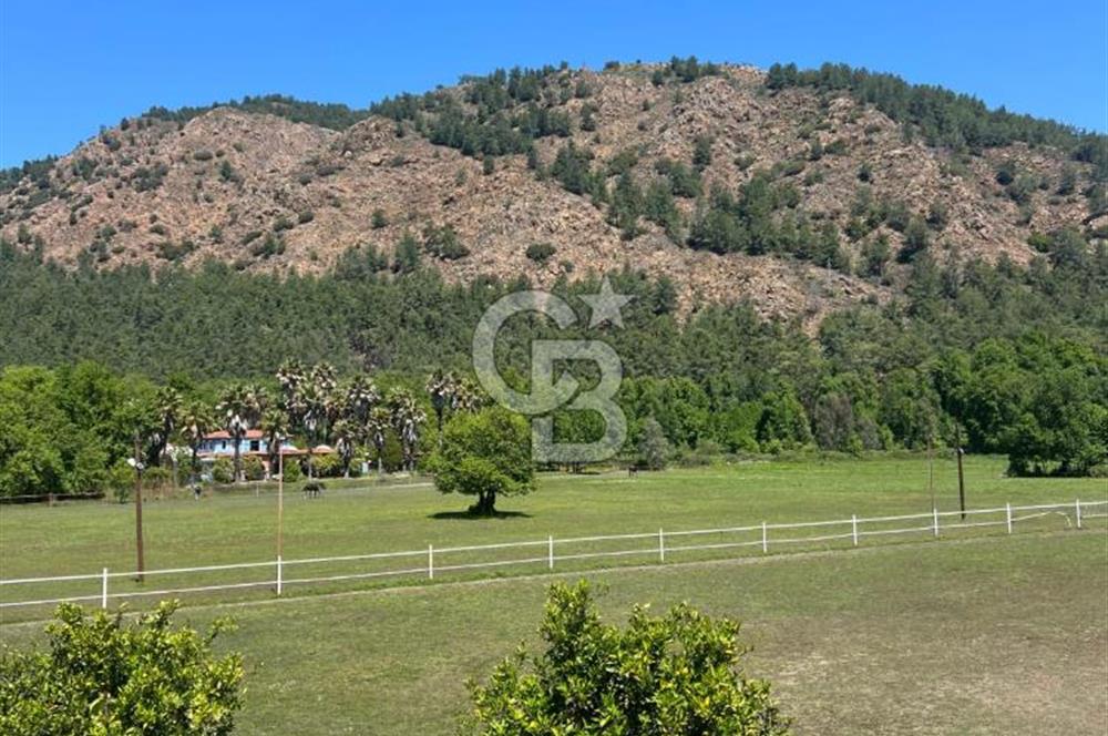 KÖYCEĞİZ'DE 75 DÖNÜM ARAZİ VE ÇİFTLİK EVİ